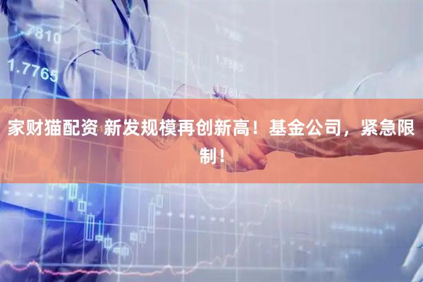 家财猫配资 新发规模再创新高！基金公司，紧急限制！
